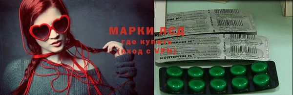 PSILOCYBIN Горно-Алтайск