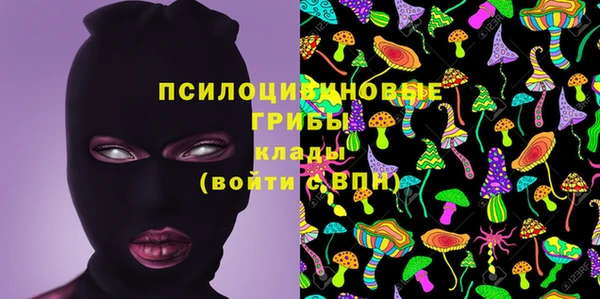 PSILOCYBIN Горно-Алтайск