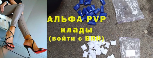 PSILOCYBIN Горно-Алтайск