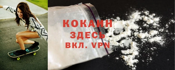 PSILOCYBIN Горно-Алтайск