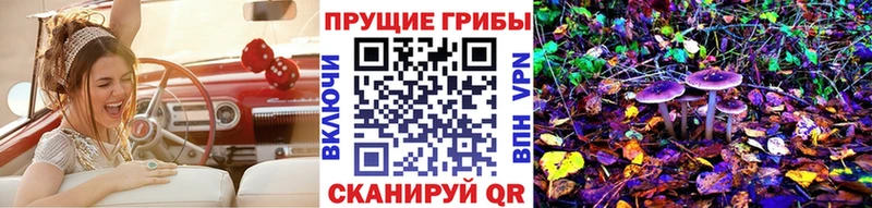 Псилоцибиновые грибы Psilocybe  Тверь 
